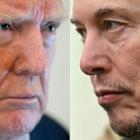 Musk row with Trump is ‘damaging’ Tesla, warns Wall Street