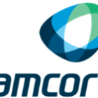 Amcor PLC (AMCR) Q4 2024 Earnings Report Preview: What To Expect