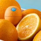 Blue Moon, the orange-flavored beer, is being turned into a lip balm