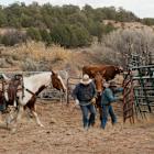 US cattle producers have started rebuilding herds, or will soon, Tyson Foods CEO says