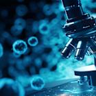 Here’s Why Third Harmonic Bio (THRD) Fell in Q1