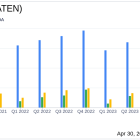 A10 Networks Inc (ATEN) Q1 2024 Earnings: Aligns with Analyst Projections