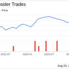 Insider Sale: EVP, CFO Tim O'Brien Sells 44,151 Shares of N-able Inc (NABL)