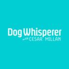 Cineverse Debuts New FAST Channel: Dog Whisperer with Cesar Millan