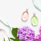 Interparfums Q1 Earnings Beat Estimates, Organic Sales Rise 7%