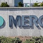 Constellation and Meta, Merck, Snowflake: Trending Tickers