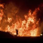 California utility will pay $80M to settle claims its equipment sparked devastating 2017 wildfire