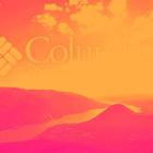 COLM Q1 Earnings Call: Solid Q1 Amid Tariff Uncertainty and Cautious U.S. Outlook