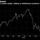 BOJ Hints at Caution on Rate Hike With No Clear December Hint