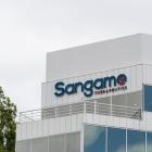 Sangamo Therapeutics Stock Slumps After Pfizer Terminates Hemophilia A Gene Therapy Partnership