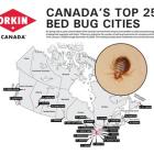 Bed bugs on the move: New report names most infested cities across Canada