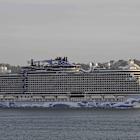 Norwegian Cruise Line Stock Tumbles as Q1 Earnings Trail Estimates