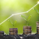 3 Brilliant Growth Stocks to Buy Now and Hold Forever