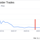 Insider Michal Handerhan Sells 97,618 Shares of BTCS Inc (BTCS)