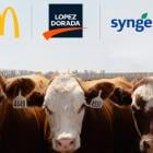 McDonald’s USA and partners to enhance beef production sustainability