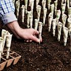 Here Are My Top 2 High-Yield Dividend Growth Stocks to Buy Now