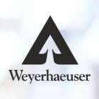 How To Earn $500 A Month From Weyerhaeuser Stock Ahead Of Q3 Earnings