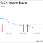 Insider Sale: EVP and General Counsel James Gallagher Sells 25,000 Shares of AMC Networks Inc (AMCX)