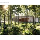 The St. Joe Company Announces the Longleaf Art Park at the Watersound Origins Community