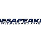 Chesapeake Utilities Corp (CPK) Q1 2025 Earnings Call Highlights: Strong EPS Growth Amid ...