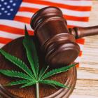 Cannabis industry: DEA reclassification is a 'critical first step'