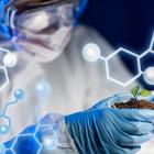 Why Regencell Bioscience Holdings Limited (RGC) is Surging in 2025